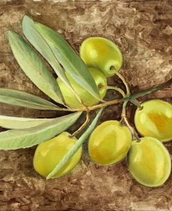 0744-Olive