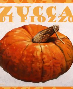 1011-Zucca Di Piozzo