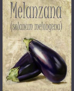 1014-Melanzana Solanum Melongena