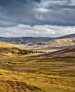 Cairngorms Valley