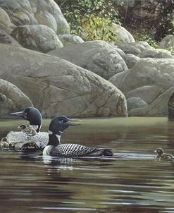 Green Rock Loon