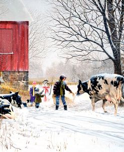 Winter on The Farm