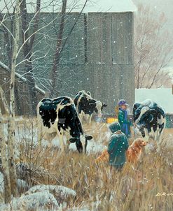 Feeding Cows Evening L