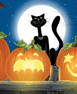 Black Cat & Pumpkins