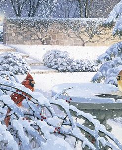 Snow Court With Cardinals