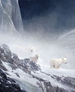 Polar Bears 2