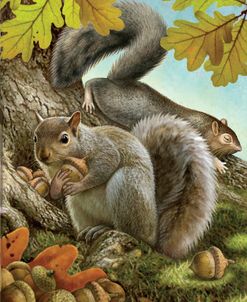 Four Of Earth-Squirrels
