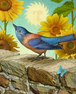 The Sun-Bluebird