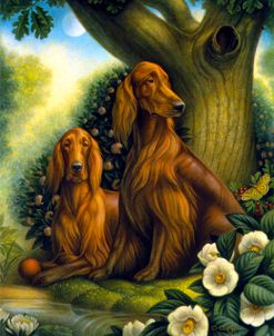 012 Irish Setters