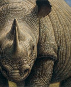 022 Rhinos