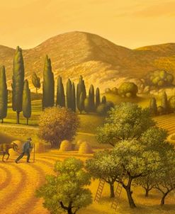 Tuscan Landscape