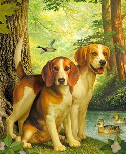 Beagles And Duck