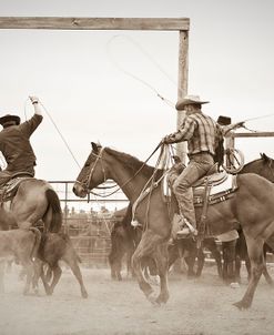 Red Top Ranch