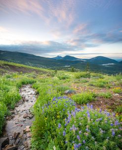 Crested Butte Stream