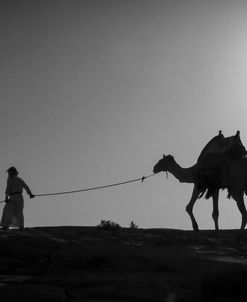 Camel Trip, Jordan