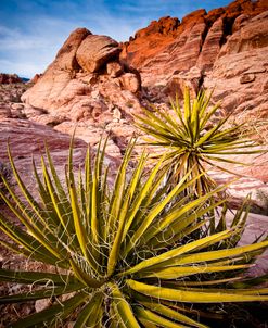 Red Rocks