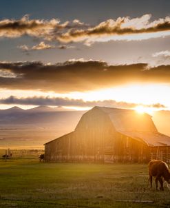 Wet Mountain Barn I