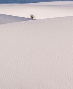 White Sands