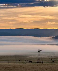 Fog Lift