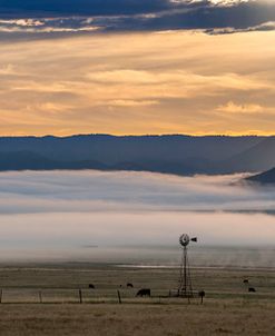 Fog Lift