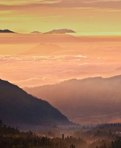 Fog Mountains