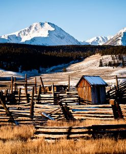 Snowy Corral