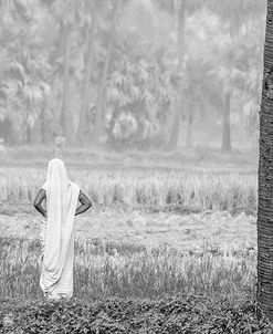 Woman and Tree 2