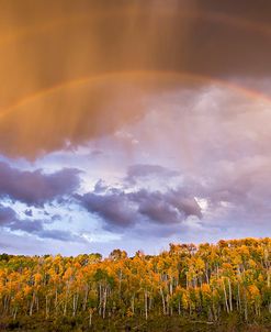 Double Rainbow