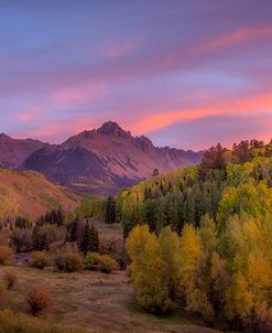 Foliage Sunset