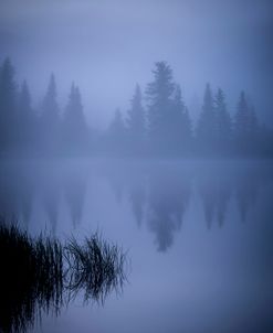 Foggy Reflection