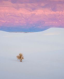 Salt Dunes