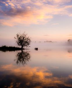 Evening Reflections