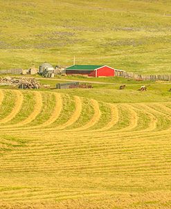 Farm Panorama