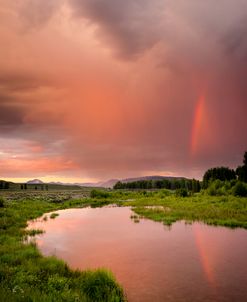 Rainbow Reflection