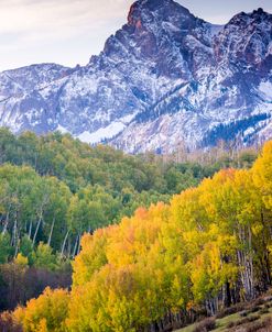 Mountain Foliage 03