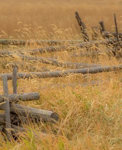 Grazing Fence