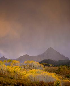 Mountain Aspens