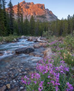 Flowery River