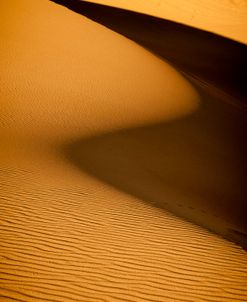 Dune