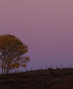 Moon Rise