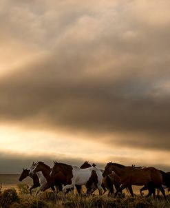 Horse Clouds