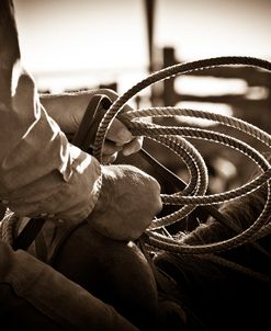 Where Would You Go With A Lasso