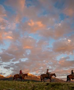 Cowboy Sunrise