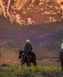 Cowboy Ride