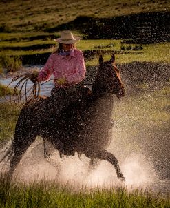 Cowgirl Splash