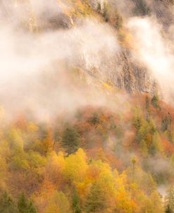 Autumn Steam