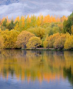 Autumn Reflection