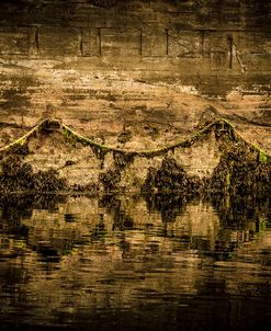 Algae Dock