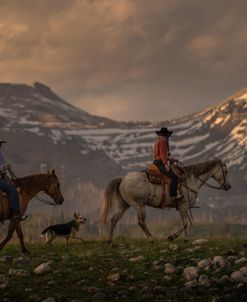 Along For The Ride