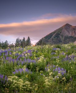 Colorado Morning